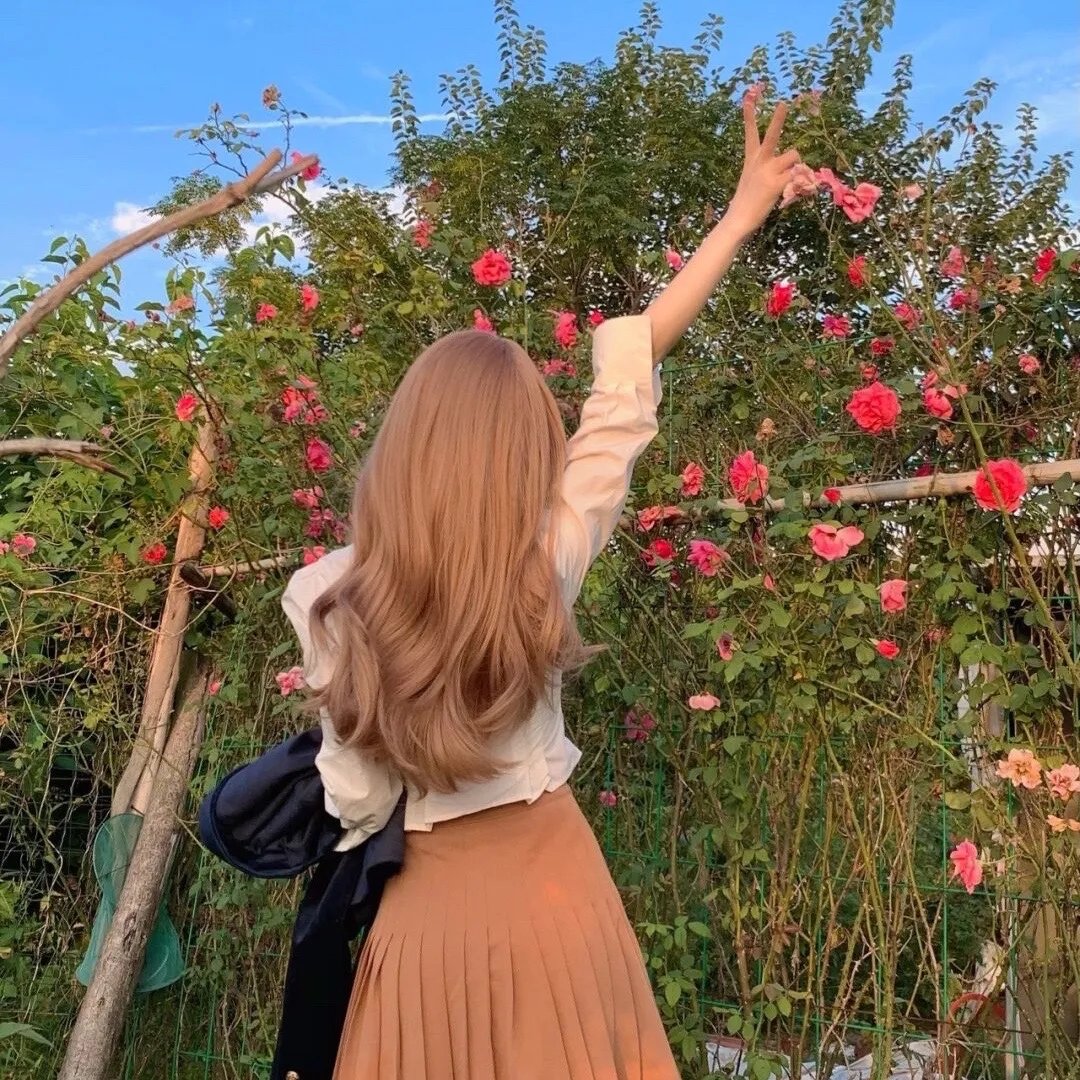 极品芝麻官